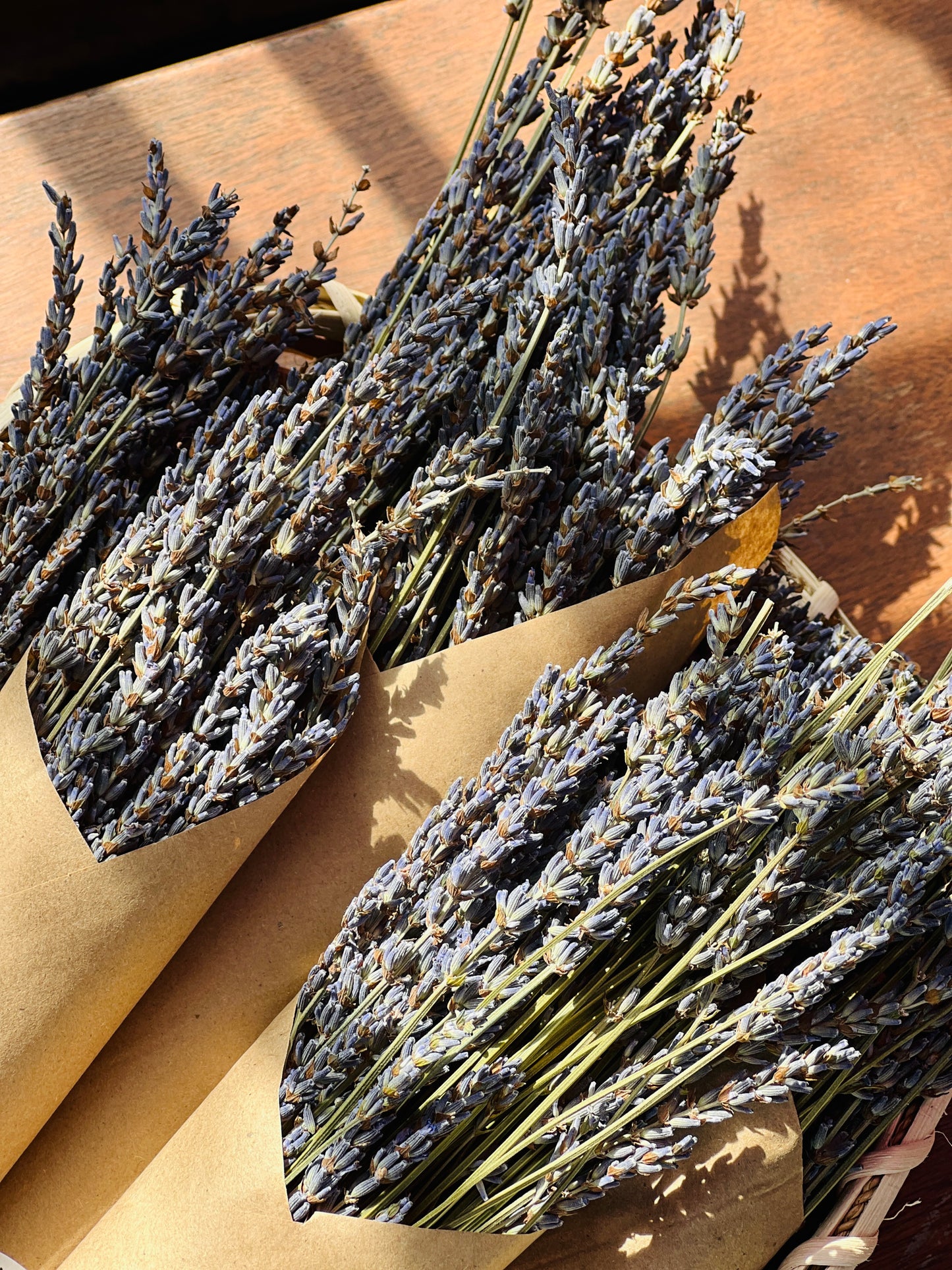 Dried Lavender Bunch