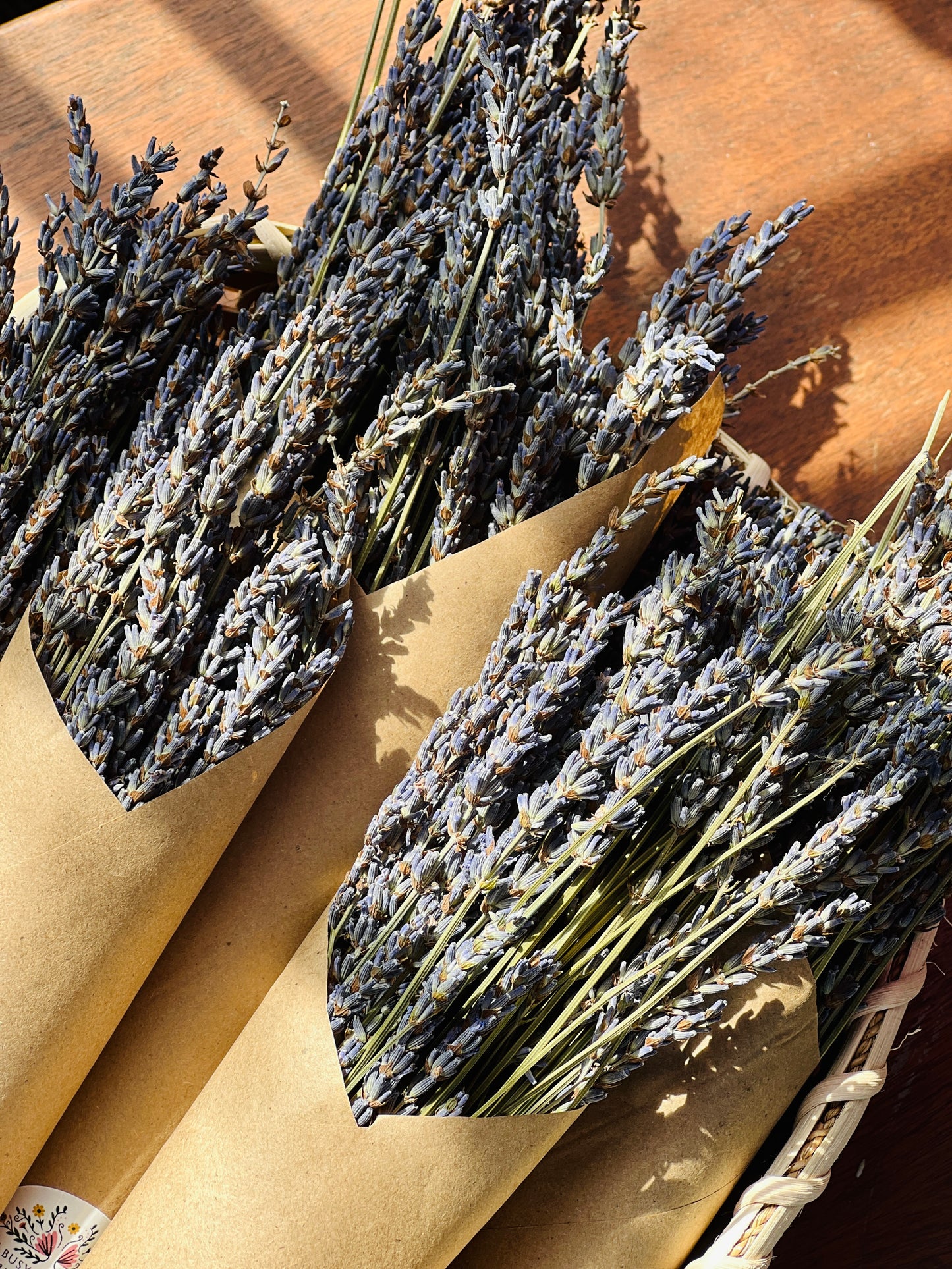 Dried Lavender Bunch