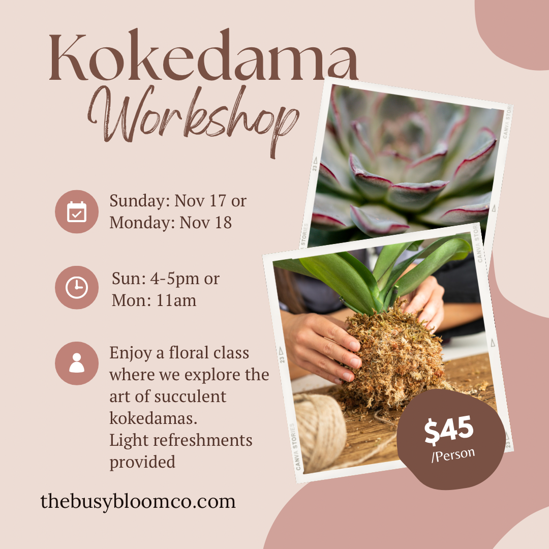 Succulent Kokedama Workshop