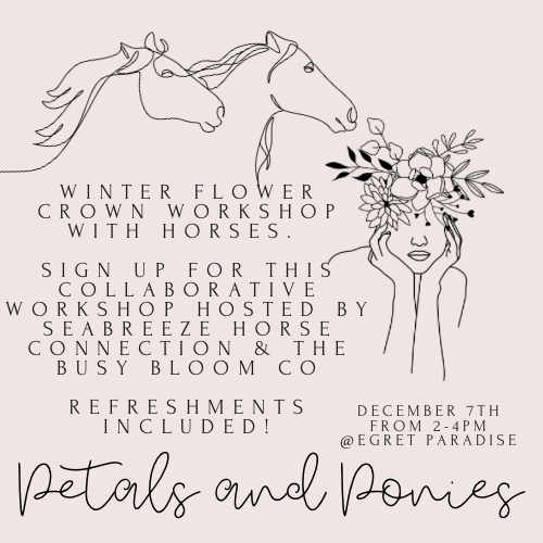 Petals & Ponies Workshop